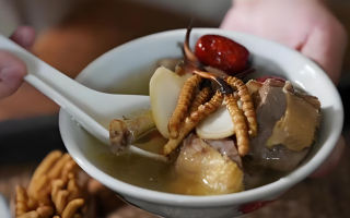 冬蟲夏草和什么食材搭配煲湯比較好？