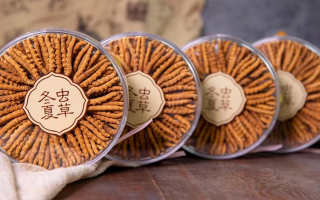 冬蟲夏草價格暴跌真相：藏農(nóng)神草告訴你，正宗那曲蟲草為何“價穩(wěn)質(zhì)優(yōu)”