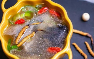 那曲冬蟲夏草辨別全指南｜教你避開市場陷阱，認(rèn)準(zhǔn)正宗珍品