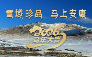 雪域高原藏珍品，2026愿您馬上安康——來(lái)自西藏那曲蟲(chóng)草網(wǎng)的新春祝福