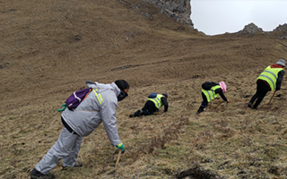 深耕那曲雪域，甄選正宗好草——2026那曲冬蟲夏草優(yōu)質(zhì)品牌盤點